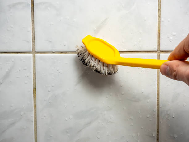 Best Mold Removal Near Me  in Kentland, IN