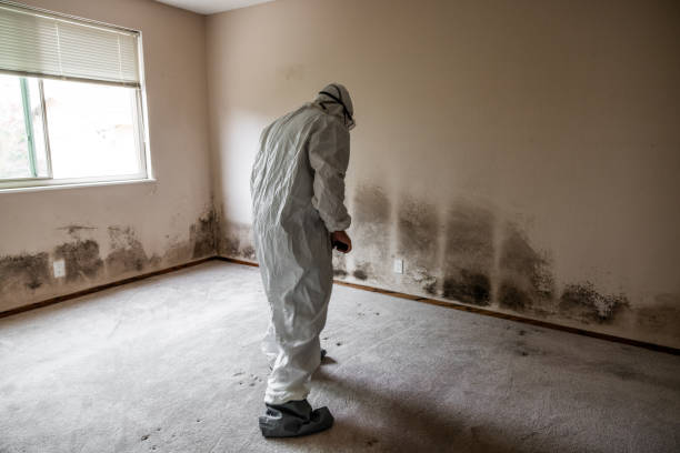 Best Mold Testing  in Kentland, IN